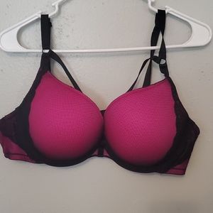 Torrid bra
